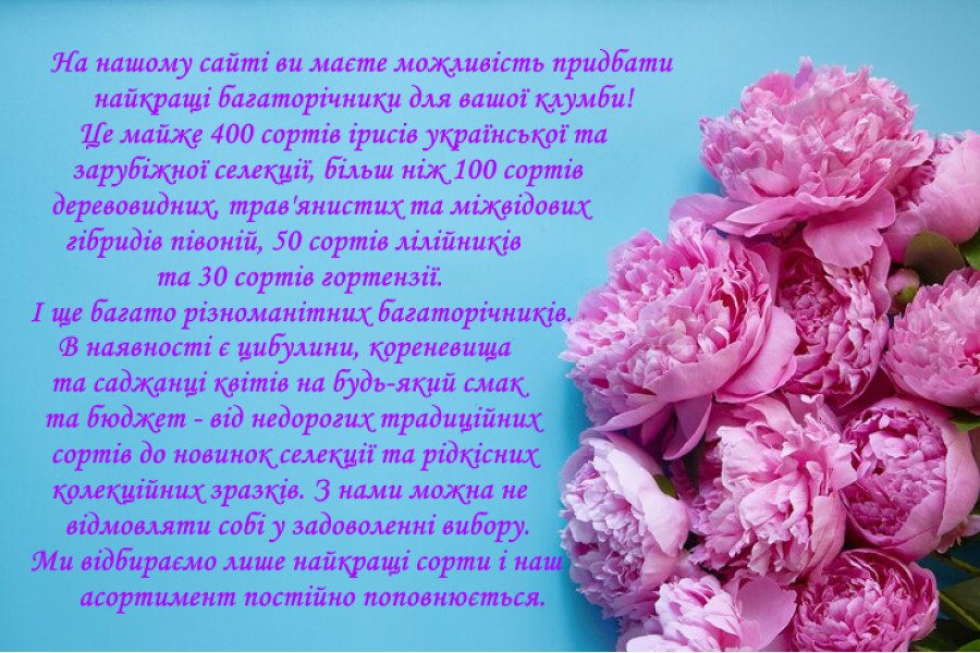 Багаториічні рослини для вашої клумбі або саду